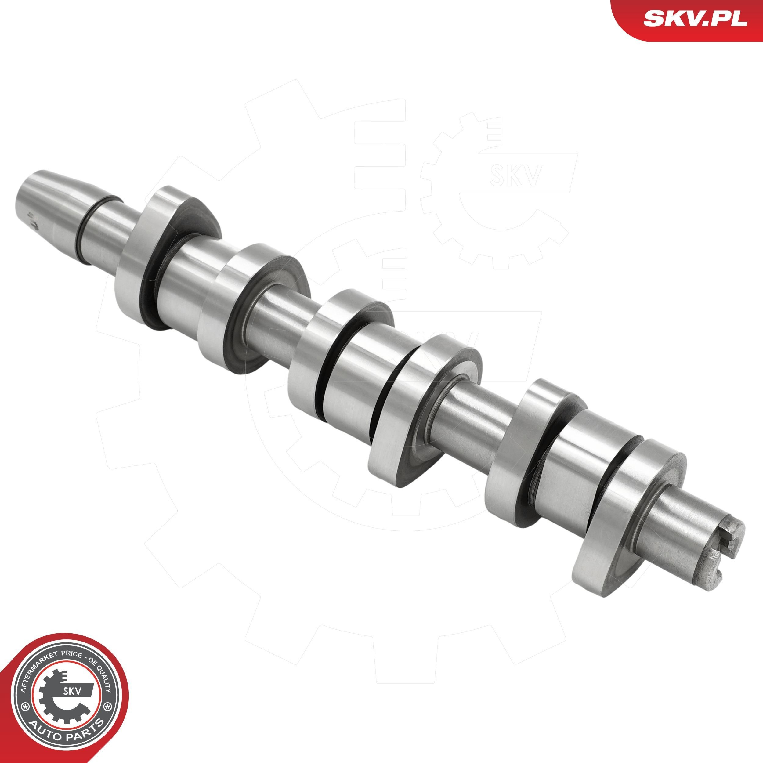 80SKV030 SKV